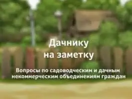 Файл: sad-i-ogorod-na-sajte-dacha-segodnya.jpg.