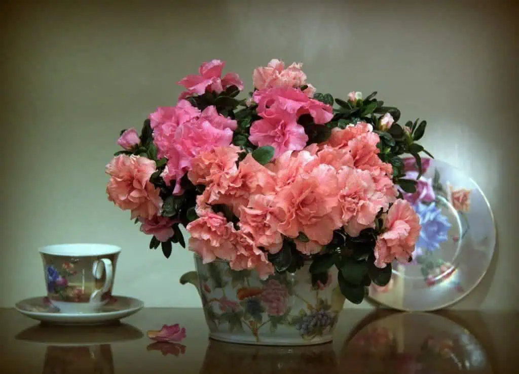 Яркое букет азалий в изысканной фарфоровой вазе, украшенной цветочным узором, создает уютную атмосферу домашнего интерьера и гармонию природы. Идеальное решение для украшения садов и цветников на даче.