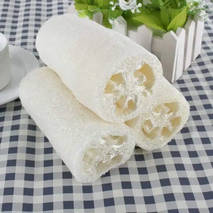 белые пористые ломтики тампона, свежие продукты, кулинария, здоровое питание, домашние ингредиенты.