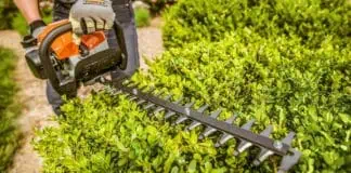 Tools для стригки кустов, бензиновая газонокосилка на садовом участке, обрезка кустарников триммером, уход за дачей, ландшафтный дизайн и уход за огородом.