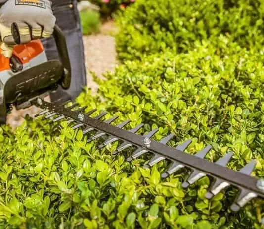 Tools для стригки кустов, бензиновая газонокосилка на садовом участке, обрезка кустарников триммером, уход за дачей, ландшафтный дизайн и уход за огородом.