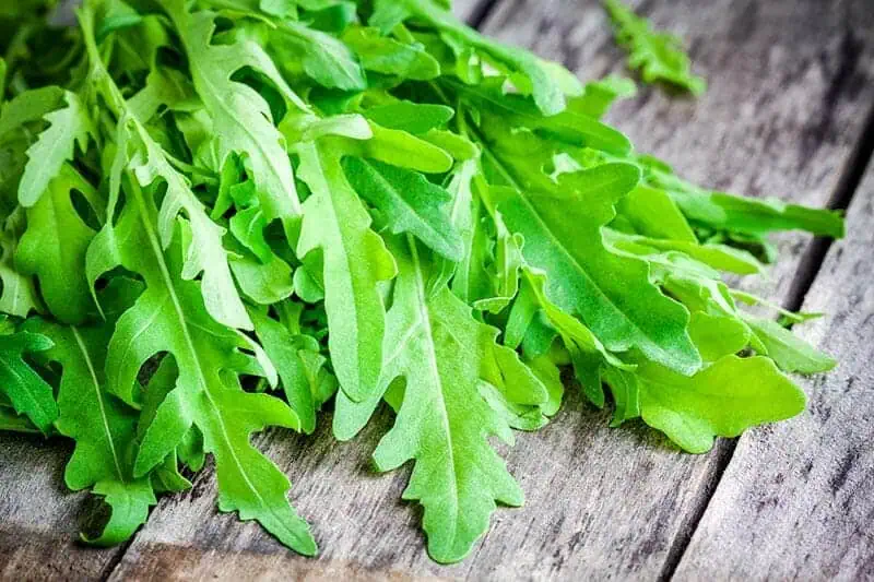 Свежая руккола