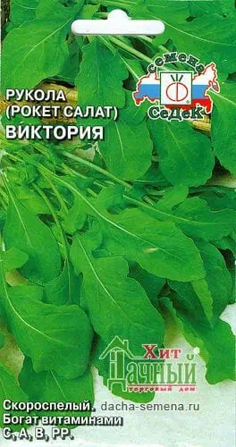 Руккола рокет